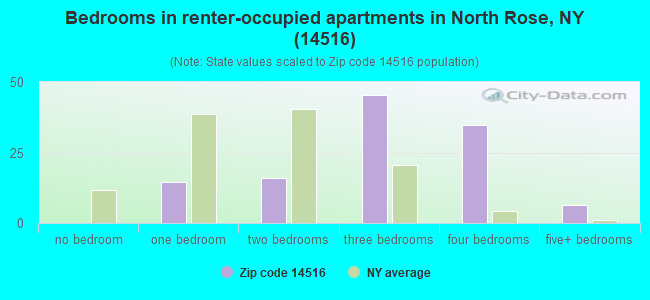 Bedrooms in renter-occupied apartments in North Rose, NY (14516) 