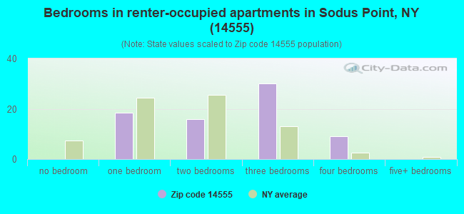 Bedrooms in renter-occupied apartments in Sodus Point, NY (14555) 