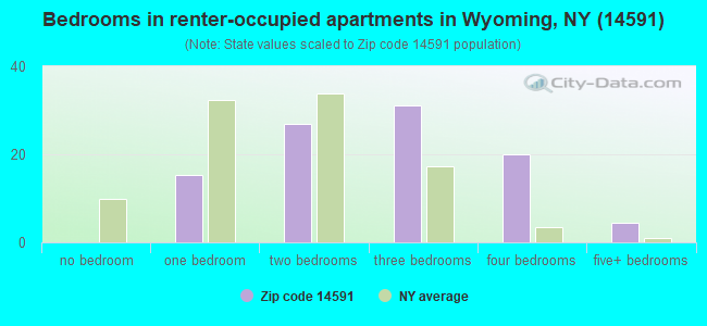 Bedrooms in renter-occupied apartments in Wyoming, NY (14591) 