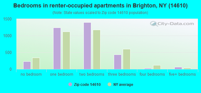 Bedrooms in renter-occupied apartments in Brighton, NY (14610) 