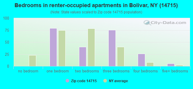 Bedrooms in renter-occupied apartments in Bolivar, NY (14715) 
