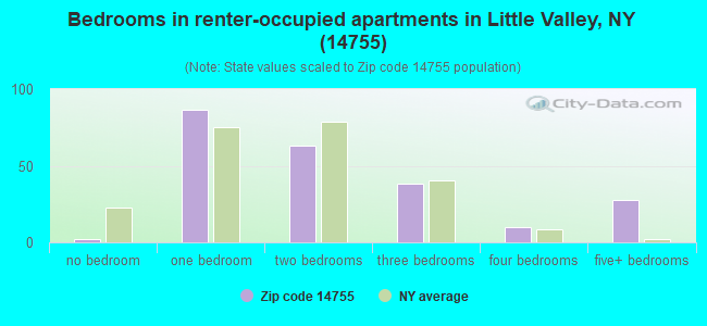 Bedrooms in renter-occupied apartments in Little Valley, NY (14755) 