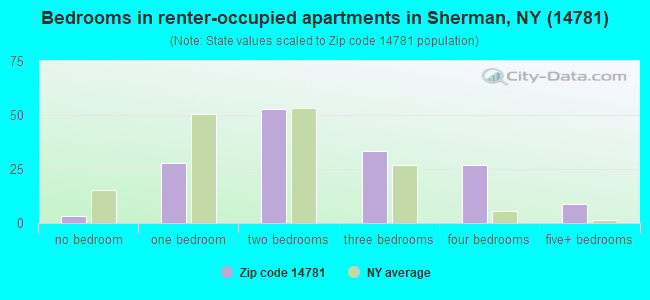 Bedrooms in renter-occupied apartments in Sherman, NY (14781) 