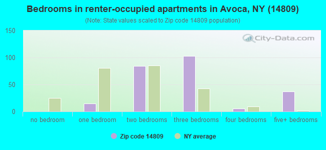 Bedrooms in renter-occupied apartments in Avoca, NY (14809) 