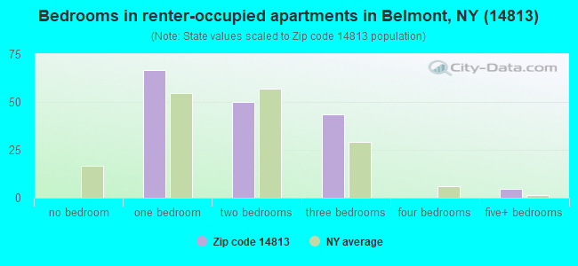 Bedrooms in renter-occupied apartments in Belmont, NY (14813) 