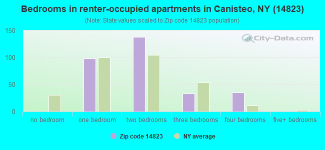 Bedrooms in renter-occupied apartments in Canisteo, NY (14823) 