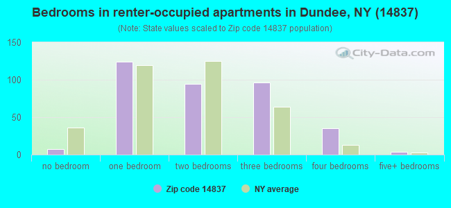 Bedrooms in renter-occupied apartments in Dundee, NY (14837) 