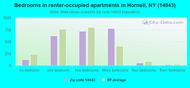 Bedrooms in renter-occupied apartments in Hornell, NY (14843) 