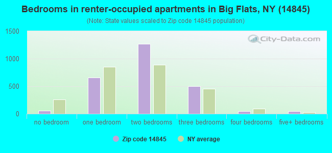 Bedrooms in renter-occupied apartments in Big Flats, NY (14845) 