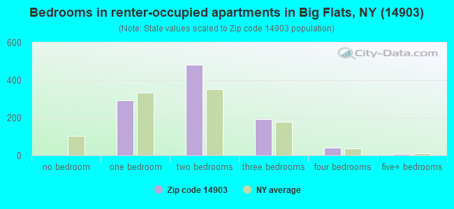Bedrooms in renter-occupied apartments in Big Flats, NY (14903) 