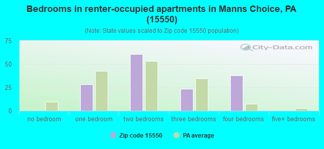 Bedrooms in renter-occupied apartments in Manns Choice, PA (15550) 