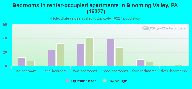 Bedrooms in renter-occupied apartments in Blooming Valley, PA (16327) 