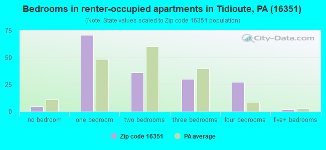 Bedrooms in renter-occupied apartments in Tidioute, PA (16351) 