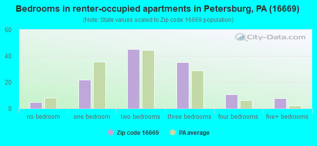 Bedrooms in renter-occupied apartments in Petersburg, PA (16669) 
