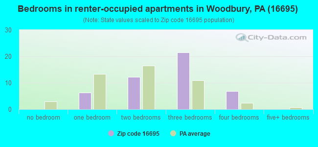 Bedrooms in renter-occupied apartments in Woodbury, PA (16695) 