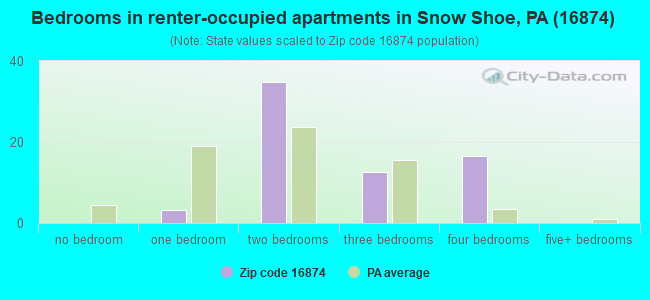 Bedrooms in renter-occupied apartments in Snow Shoe, PA (16874) 