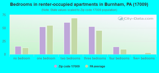 Bedrooms in renter-occupied apartments in Burnham, PA (17009) 