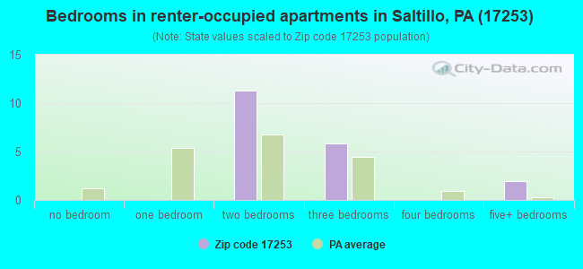 Bedrooms in renter-occupied apartments in Saltillo, PA (17253) 