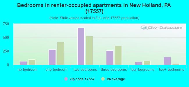 Bedrooms in renter-occupied apartments in New Holland, PA (17557) 