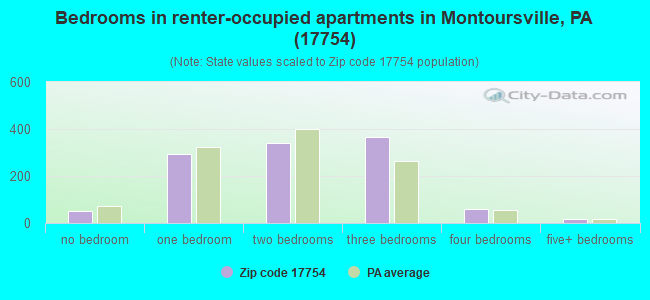 Bedrooms in renter-occupied apartments in Montoursville, PA (17754) 
