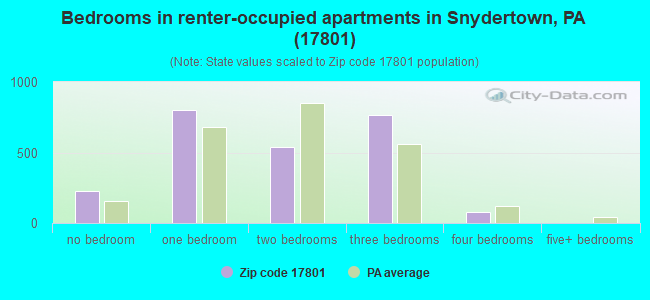 Bedrooms in renter-occupied apartments in Snydertown, PA (17801) 