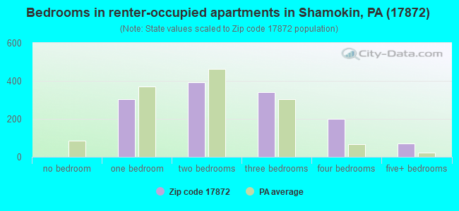 Bedrooms in renter-occupied apartments in Shamokin, PA (17872) 