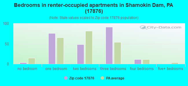 Bedrooms in renter-occupied apartments in Shamokin Dam, PA (17876) 