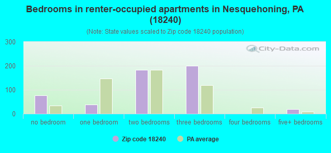 Bedrooms in renter-occupied apartments in Nesquehoning, PA (18240) 