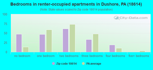 Bedrooms in renter-occupied apartments in Dushore, PA (18614) 