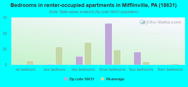Bedrooms in renter-occupied apartments in Mifflinville, PA (18631) 
