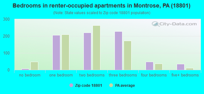 Bedrooms in renter-occupied apartments in Montrose, PA (18801) 