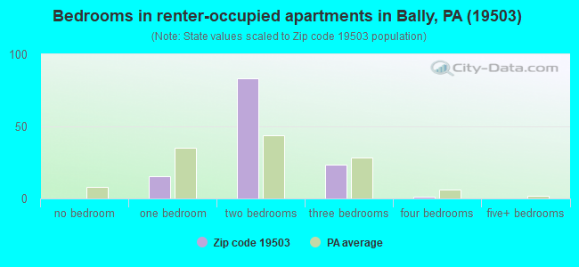 Bedrooms in renter-occupied apartments in Bally, PA (19503) 