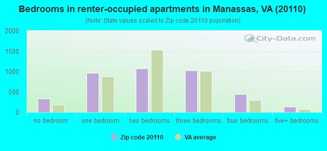 Bedrooms in renter-occupied apartments in Manassas, VA (20110) 