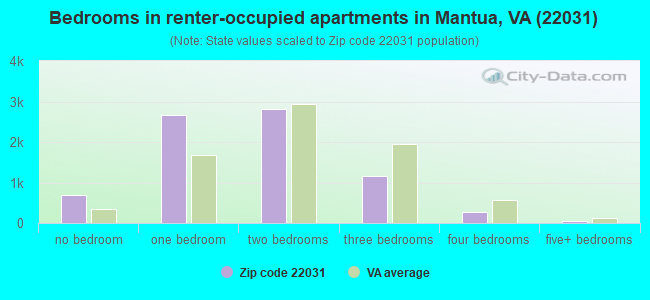 Bedrooms in renter-occupied apartments in Mantua, VA (22031) 
