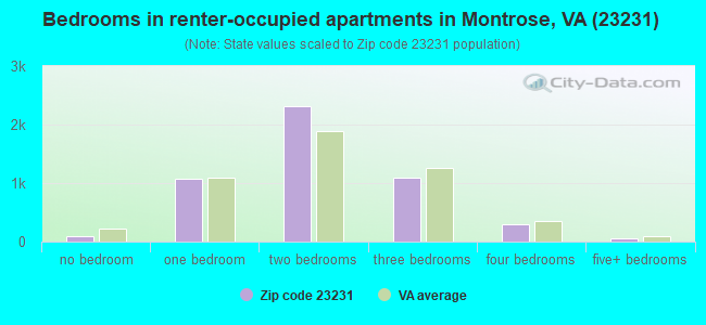 Bedrooms in renter-occupied apartments in Montrose, VA (23231) 