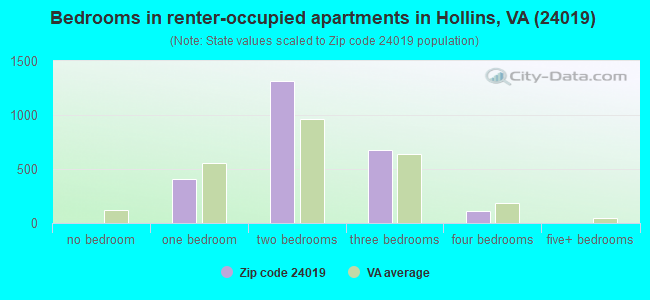 Bedrooms in renter-occupied apartments in Hollins, VA (24019) 