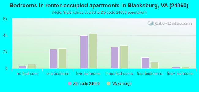 Bedrooms in renter-occupied apartments in Blacksburg, VA (24060) 