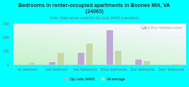 Bedrooms in renter-occupied apartments in Boones Mill, VA (24065) 