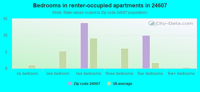 Bedrooms in renter-occupied apartments in 24607 