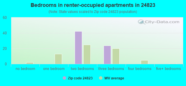 Bedrooms in renter-occupied apartments in 24823 
