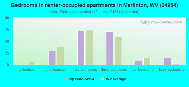 Bedrooms in renter-occupied apartments in Marlinton, WV (24954) 