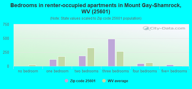 Bedrooms in renter-occupied apartments in Mount Gay-Shamrock, WV (25601) 