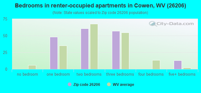 Bedrooms in renter-occupied apartments in Cowen, WV (26206) 