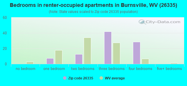 Bedrooms in renter-occupied apartments in Burnsville, WV (26335) 