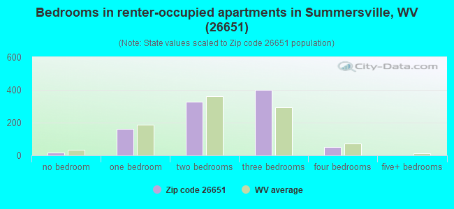 Bedrooms in renter-occupied apartments in Summersville, WV (26651) 