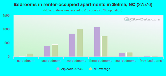 Bedrooms in renter-occupied apartments in Selma, NC (27576) 