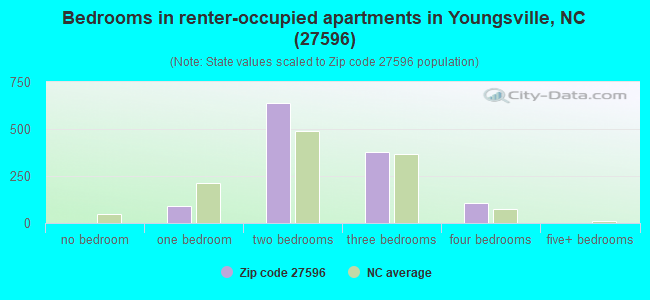 Bedrooms in renter-occupied apartments in Youngsville, NC (27596) 