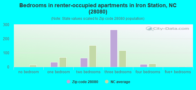 Bedrooms in renter-occupied apartments in Iron Station, NC (28080) 