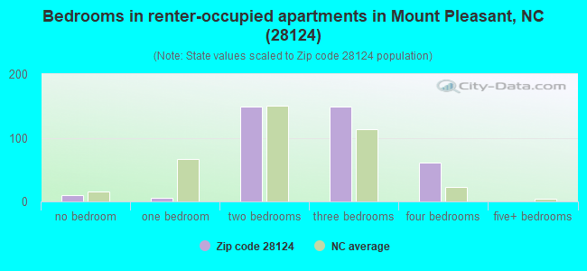 Bedrooms in renter-occupied apartments in Mount Pleasant, NC (28124) 