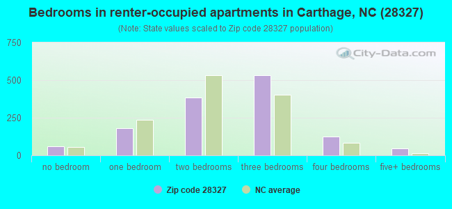 Bedrooms in renter-occupied apartments in Carthage, NC (28327) 